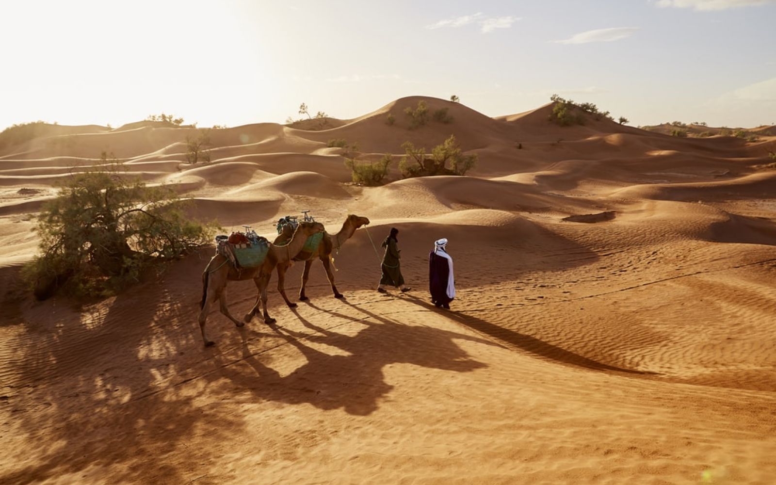 Marocco - Esperienza nel deserto con i berberi