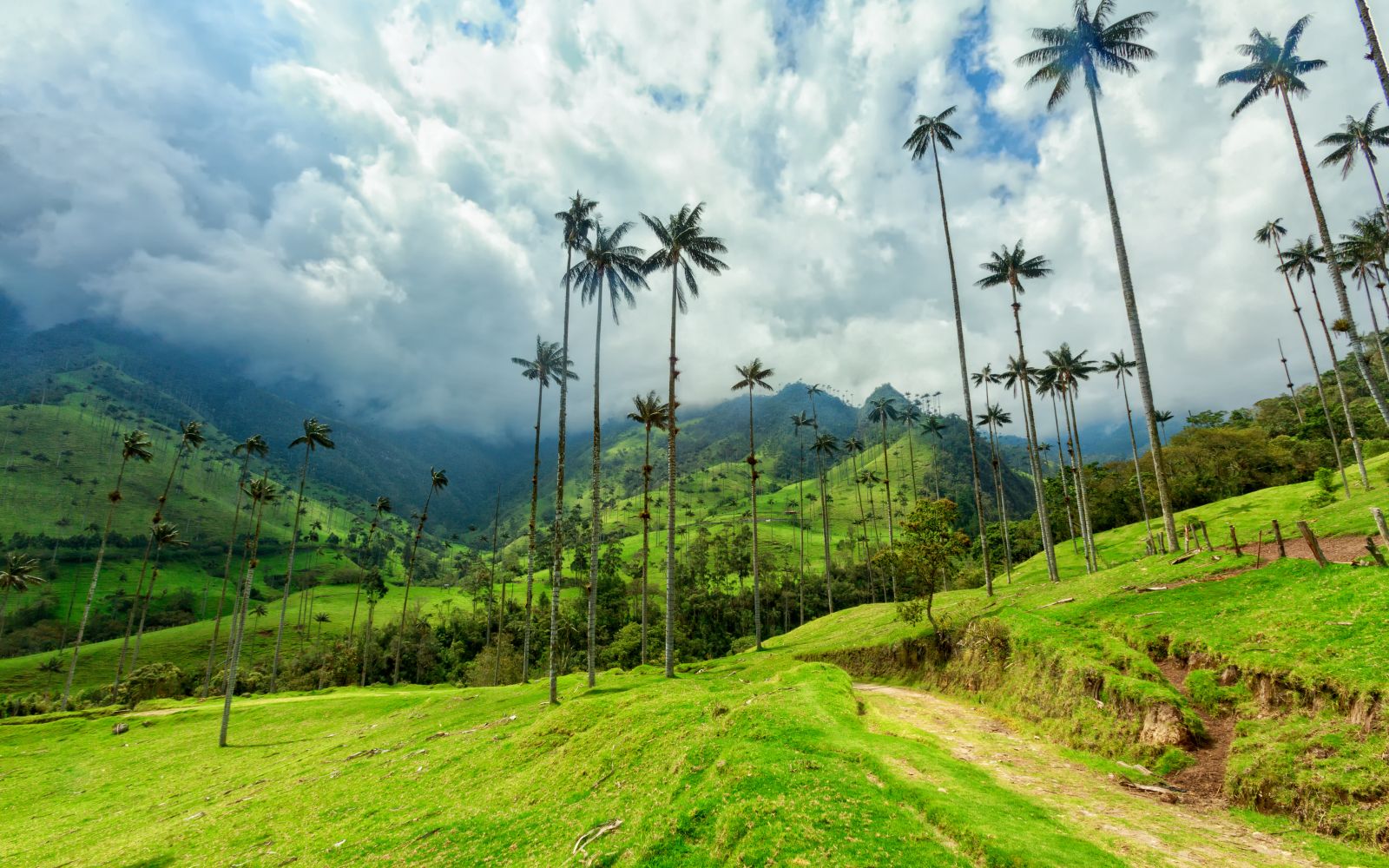 viaggio di gruppo colombia