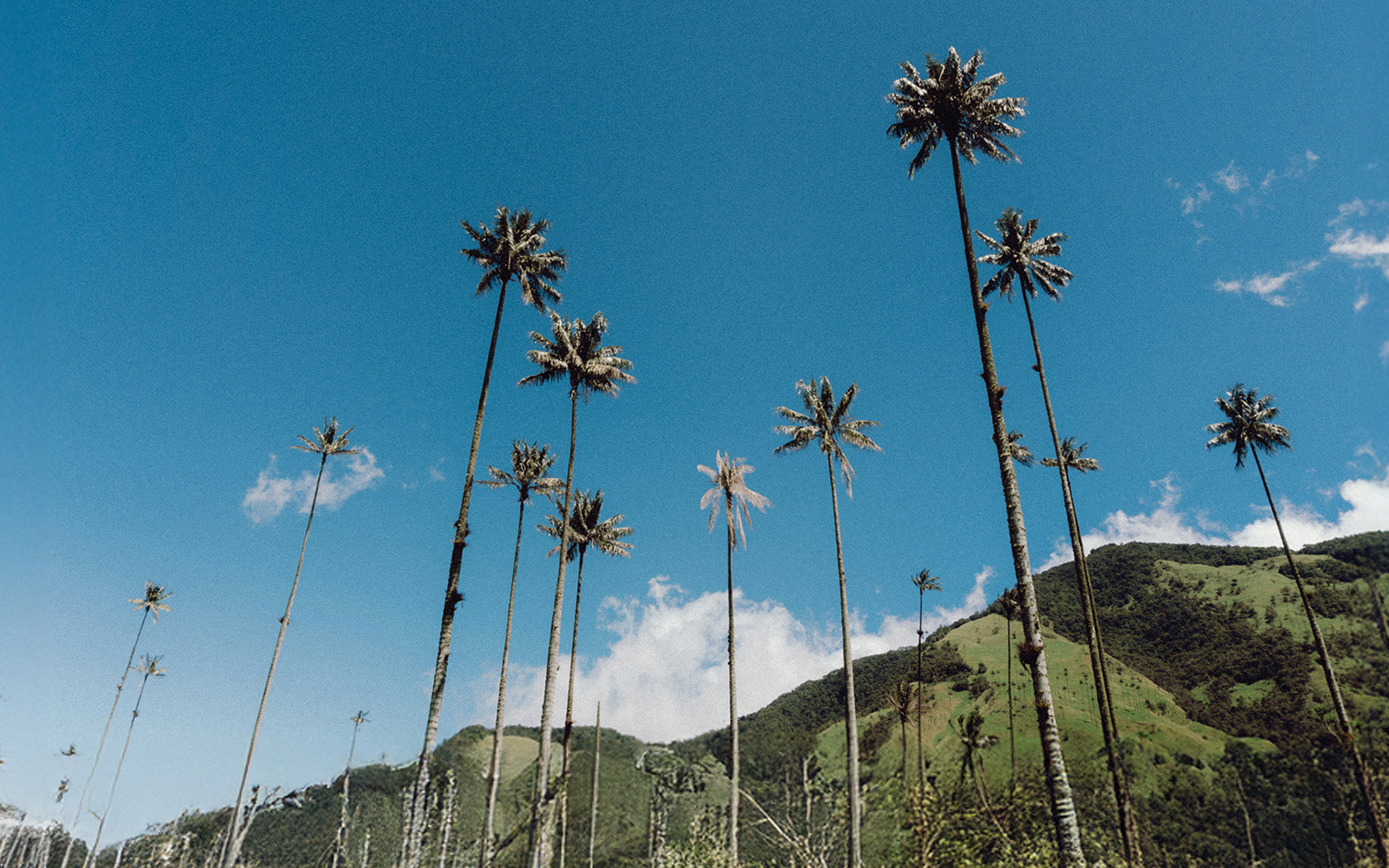 Viaggi di gruppo ad Aprile sivola