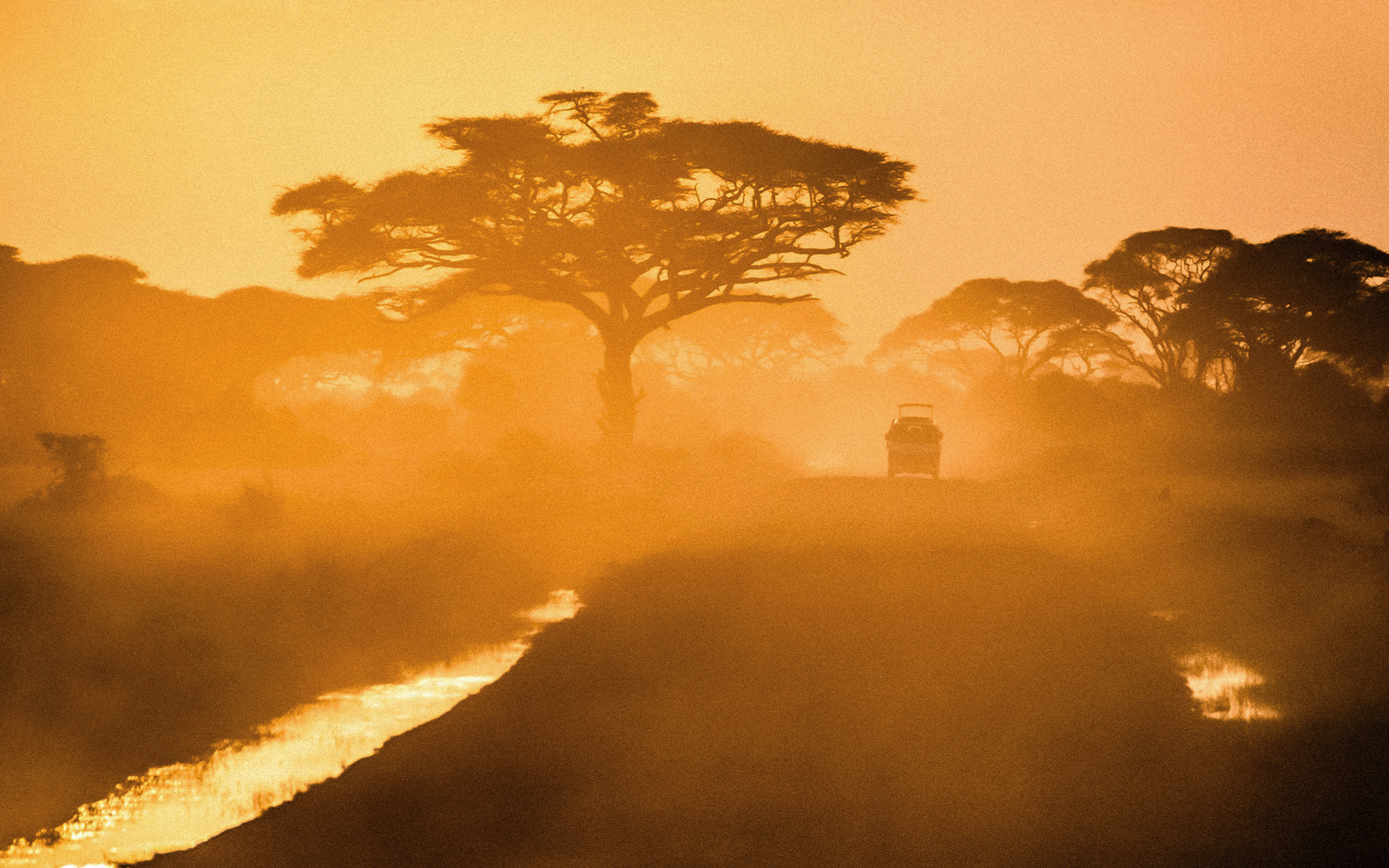 Cosa portare per un safari nella natura