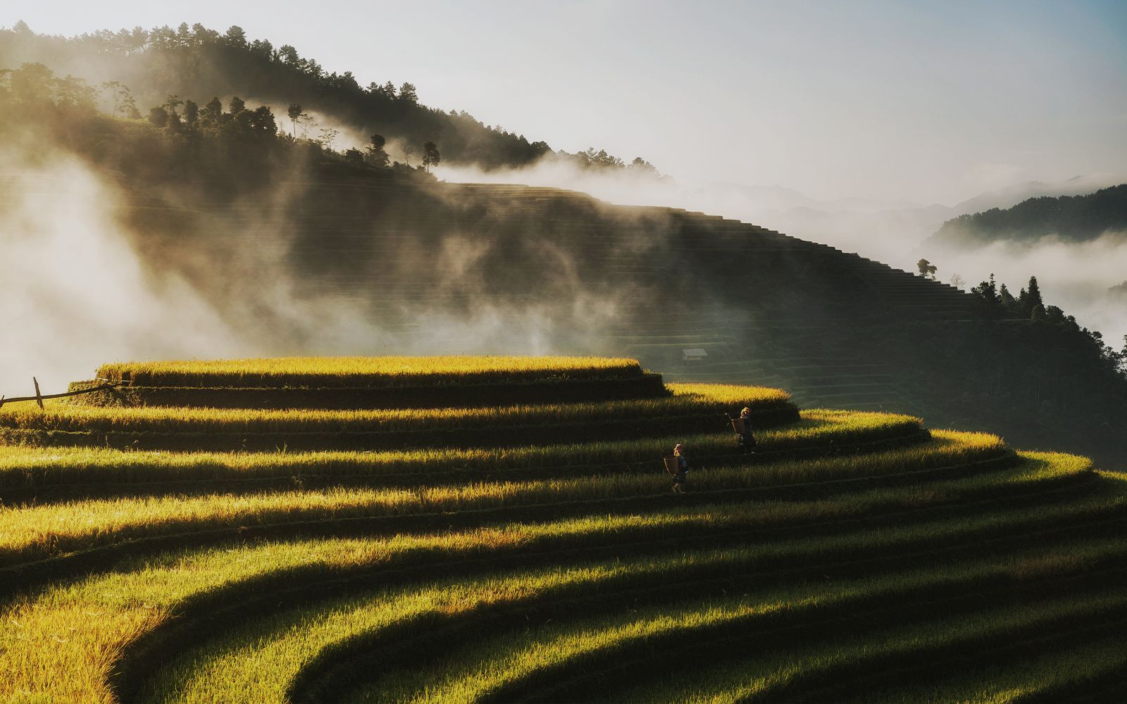 Viaggio in Vietnam e Cambogia