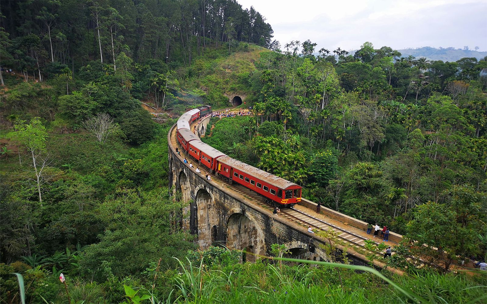 5 esperienze da vivere in Sri Lanka