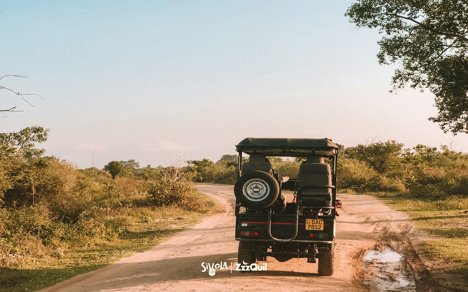 Safari on the road in Sudafrica: 5 attività imperdibili con ZzzQuil nello zaino