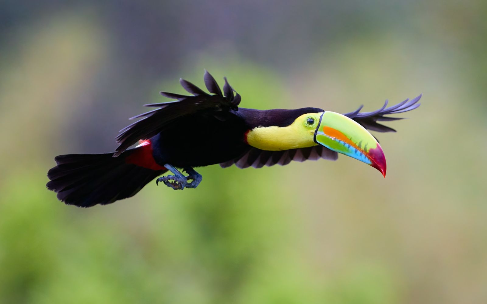Viaggio di gruppo a Panama e Costa Rica
