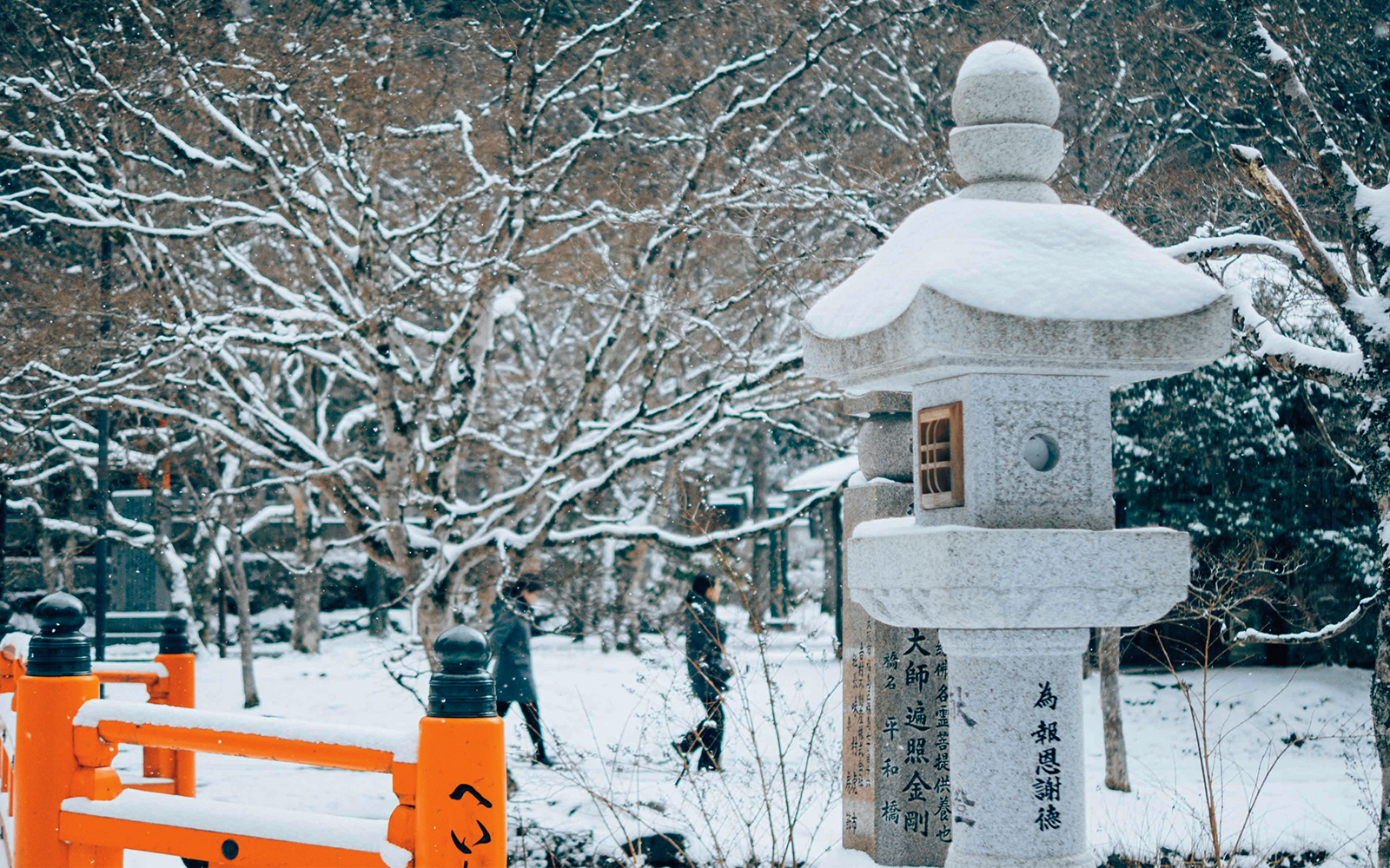 Vacanze invernali: 4 mete per Natale e Capodanno Vacanze invernali: 4 mete per Natale e Capodanno