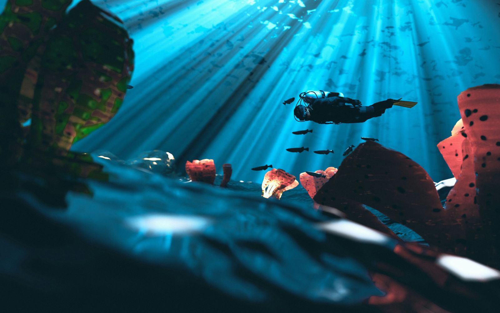 Egitto: crociera nel mar Rosso, diving & snorkeling