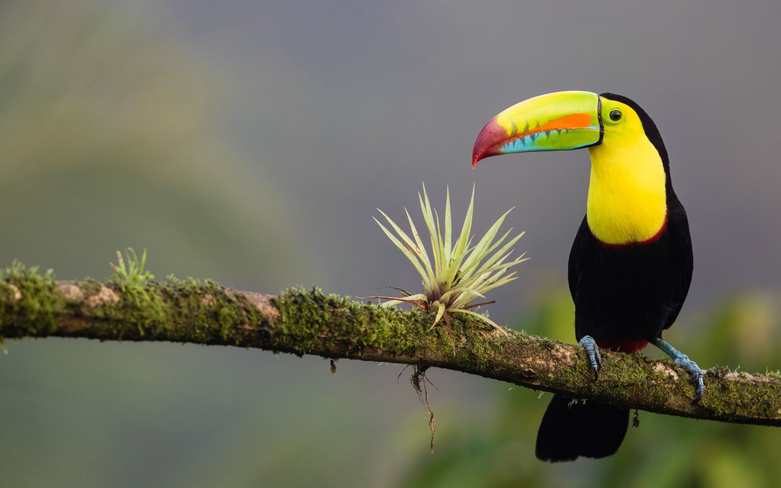 Viaggio di gruppo in Costa Rica