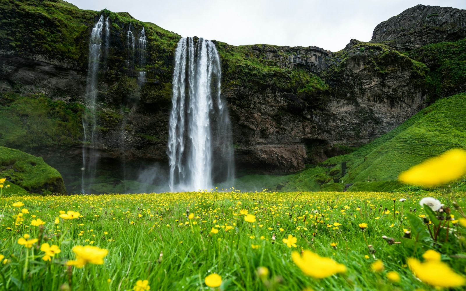 viaggio di gruppo in Islanda