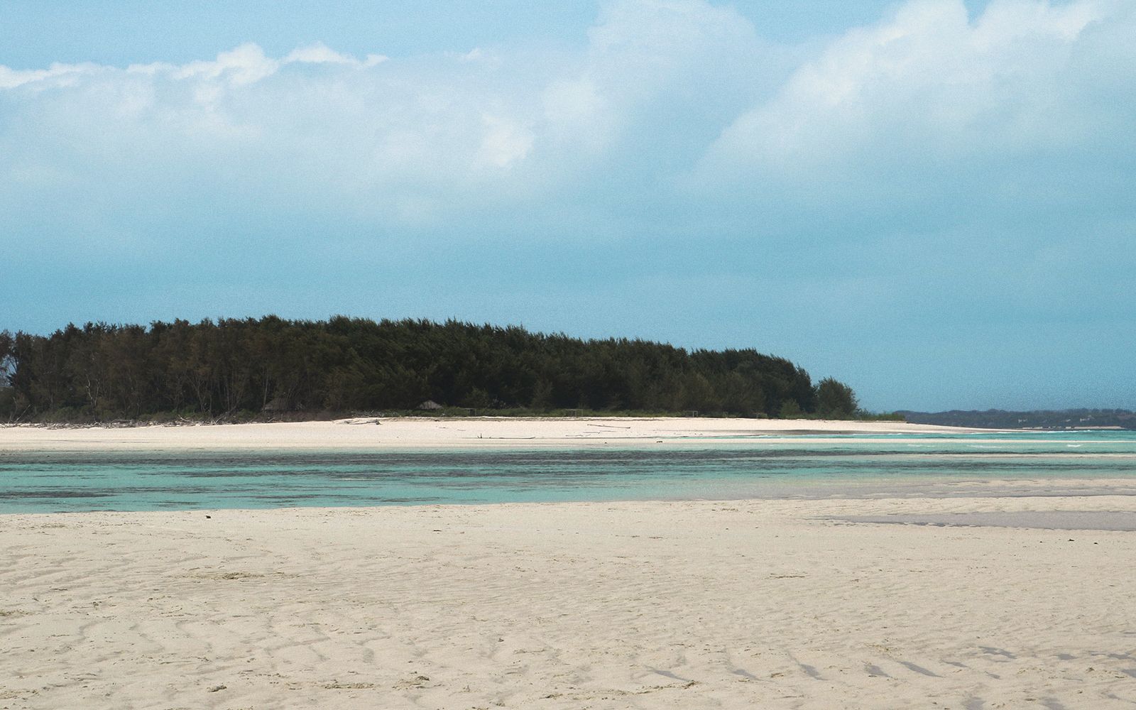 Zanzibar ad agosto: tra mare e avventura