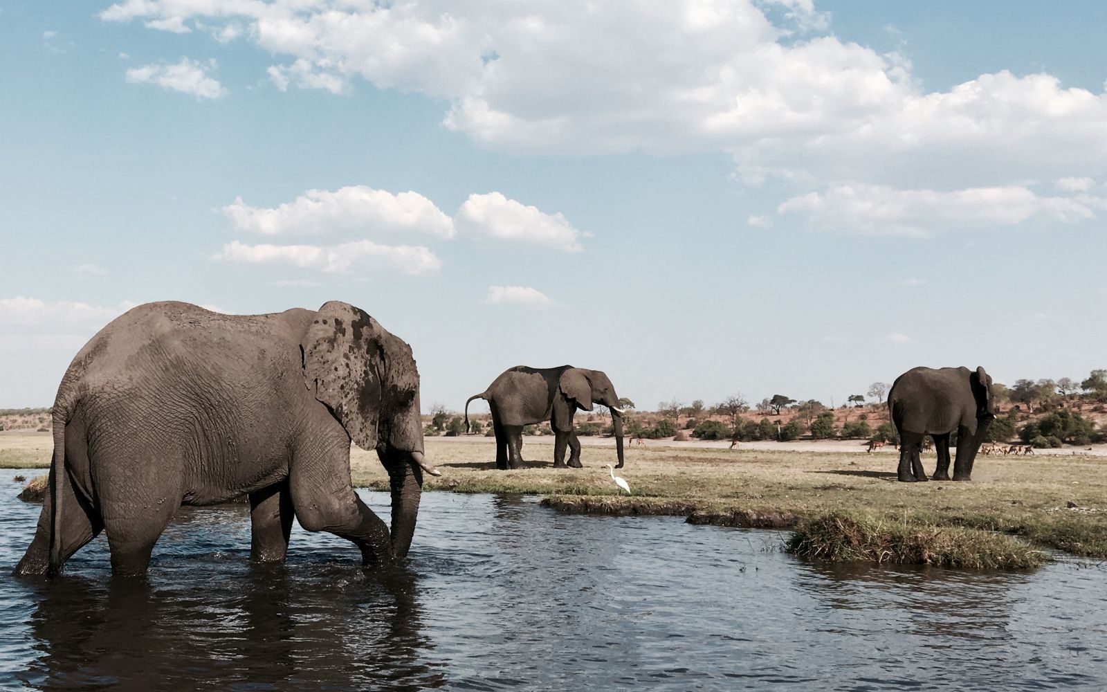 Viaggio di gruppo Botswana, Zimbabwe e Victoria Falls