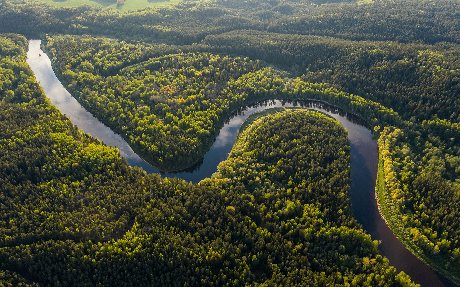 Cosa portare in valigia in Amazzonia?