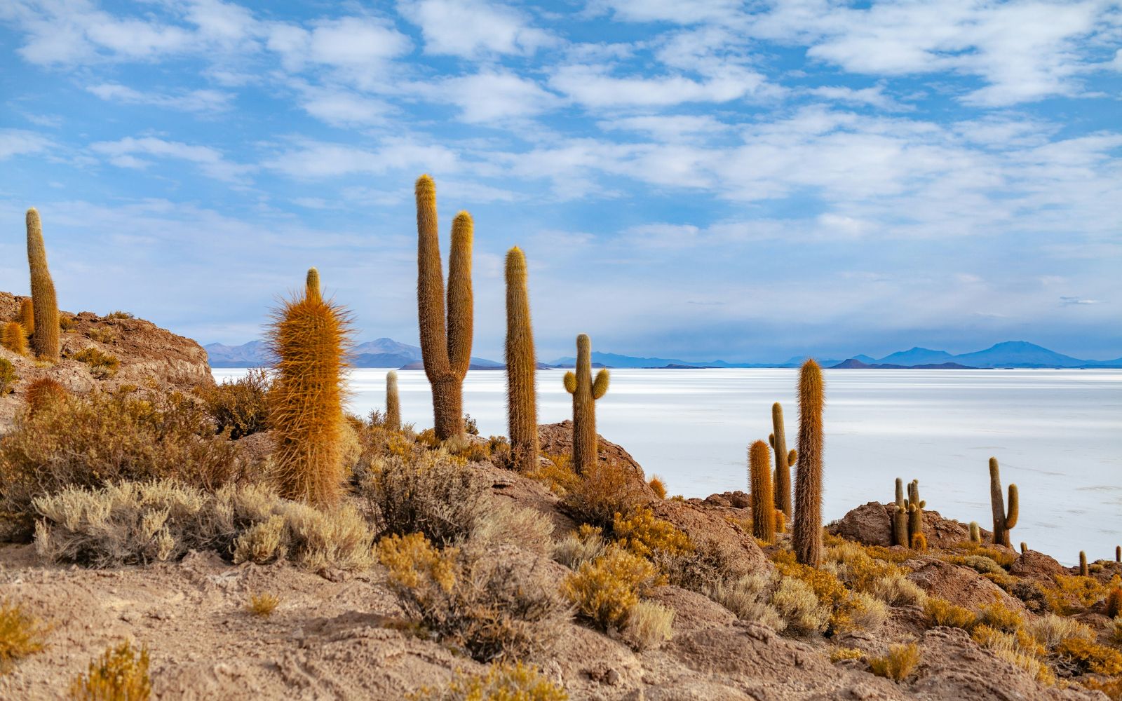 Perù & Bolivia