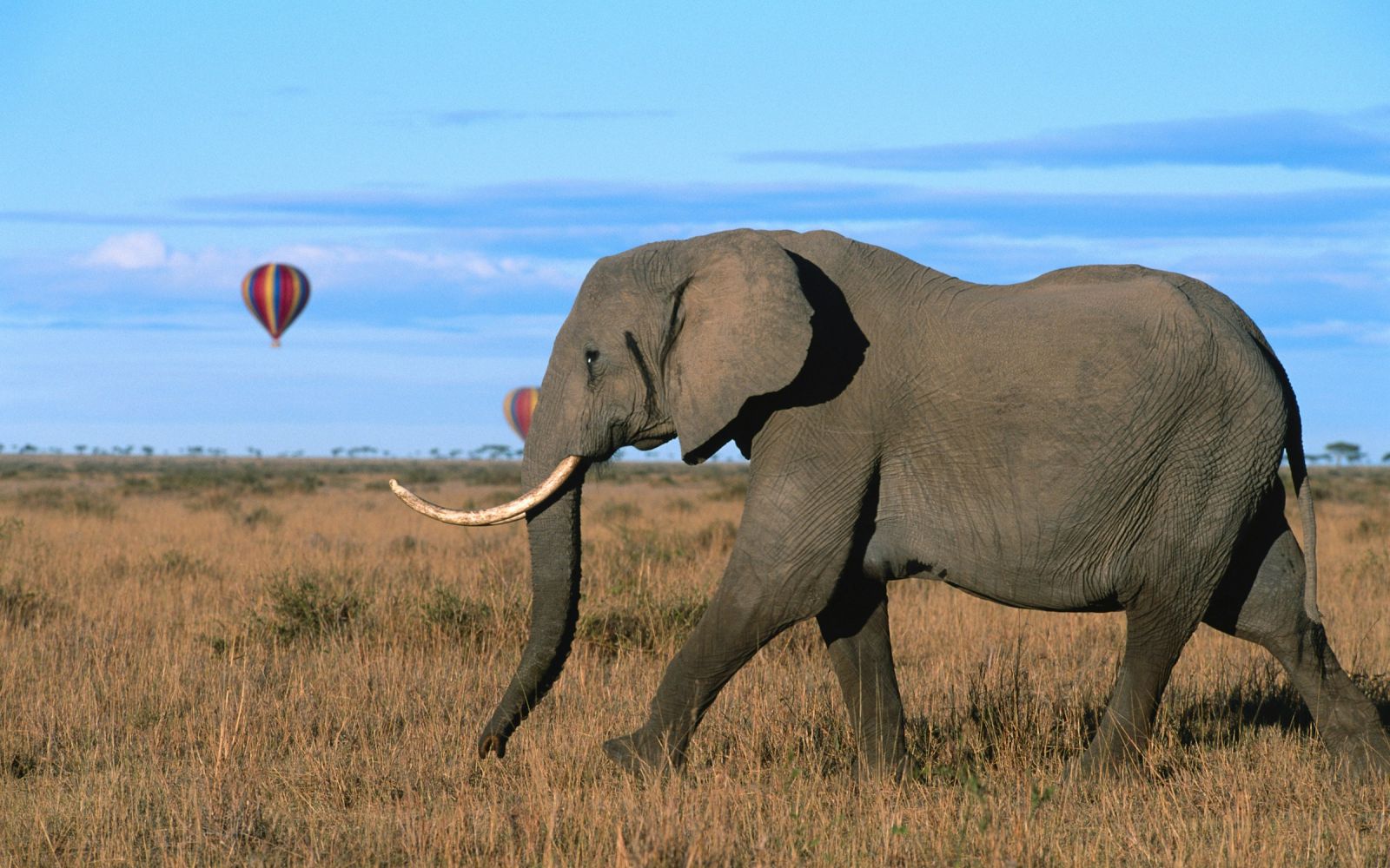 Viaggio di gruppo in Kenya