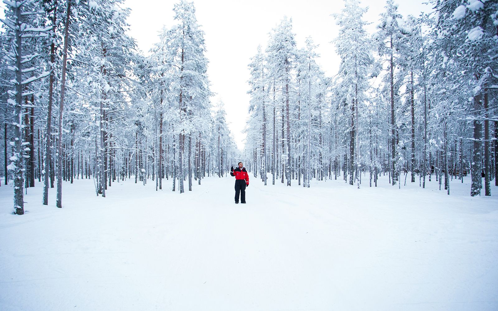 Inverno in Lapponia: viaggio nel villaggio di Babbo Natale