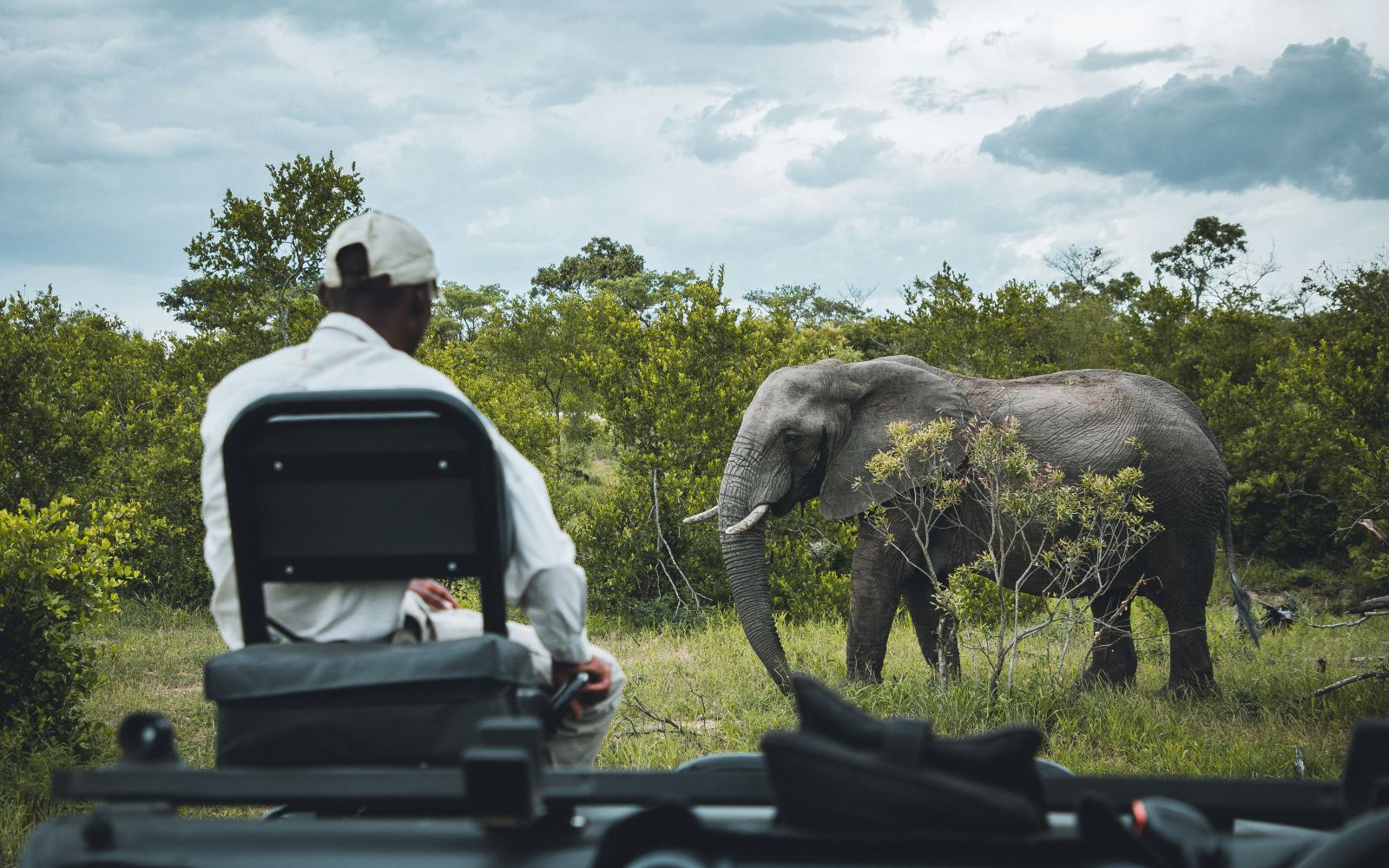 Viaggio di gruppo in Sudafrica