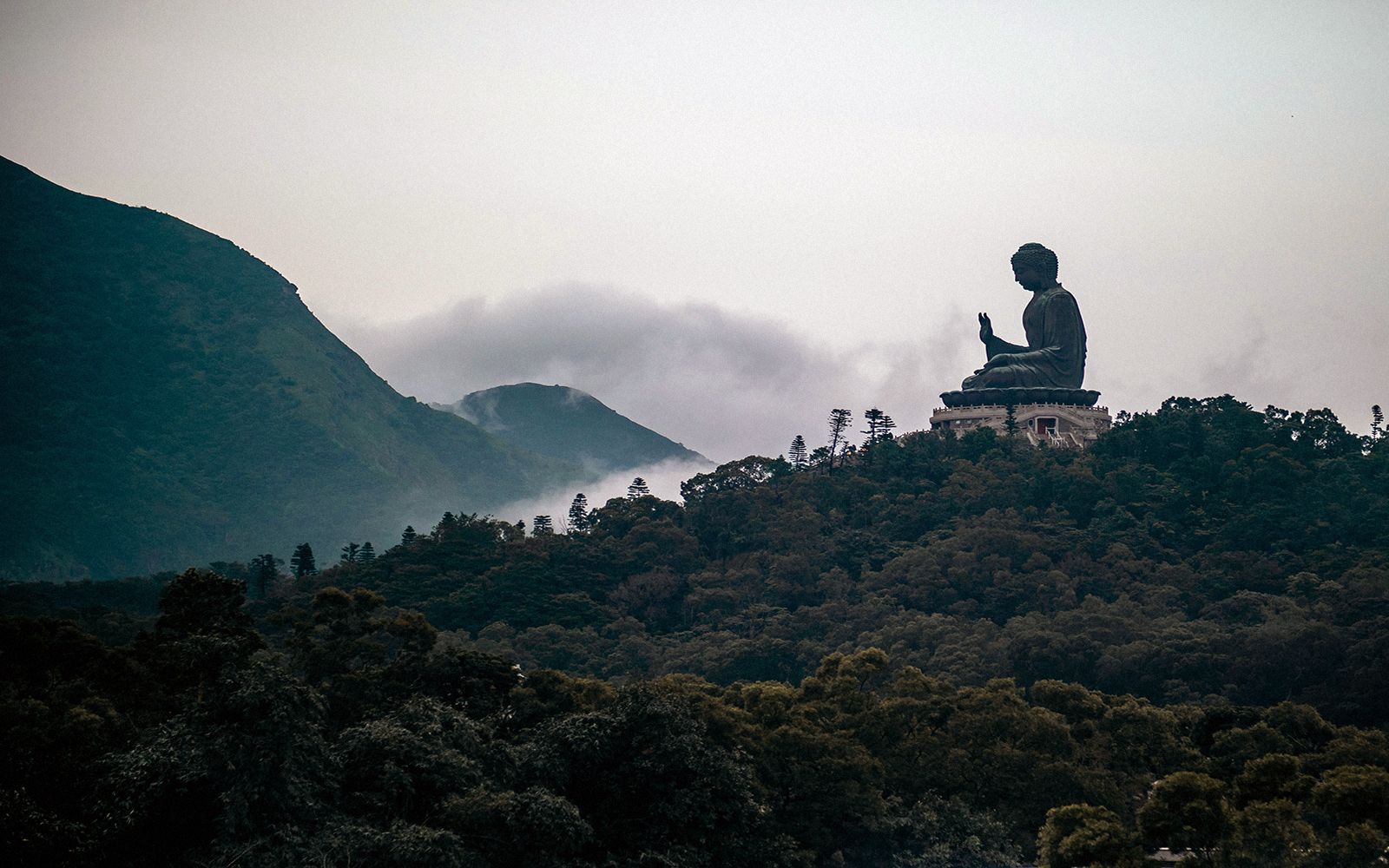 7 attività tra Hong Kong, Macau e Cina del sud: guida al viaggio