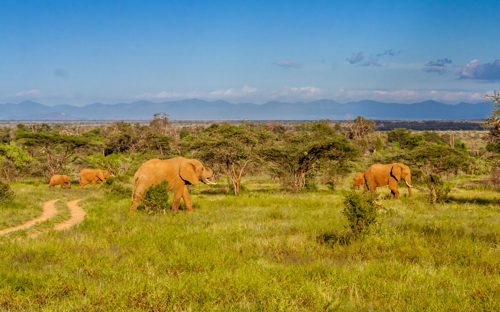 Viaggio in Madagascar