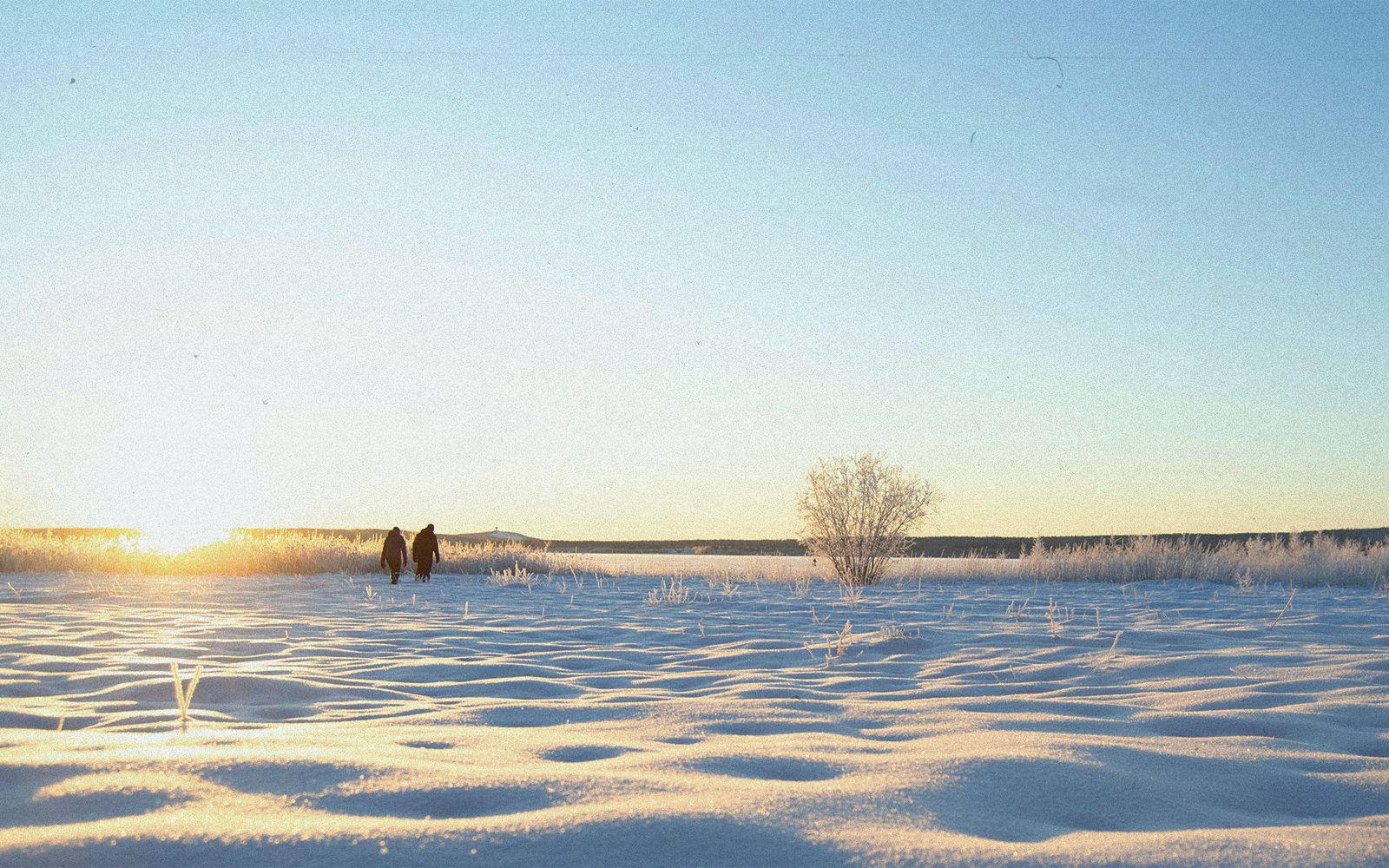Lapponia: tra Luleå, husky safari e l'aurora-boreale