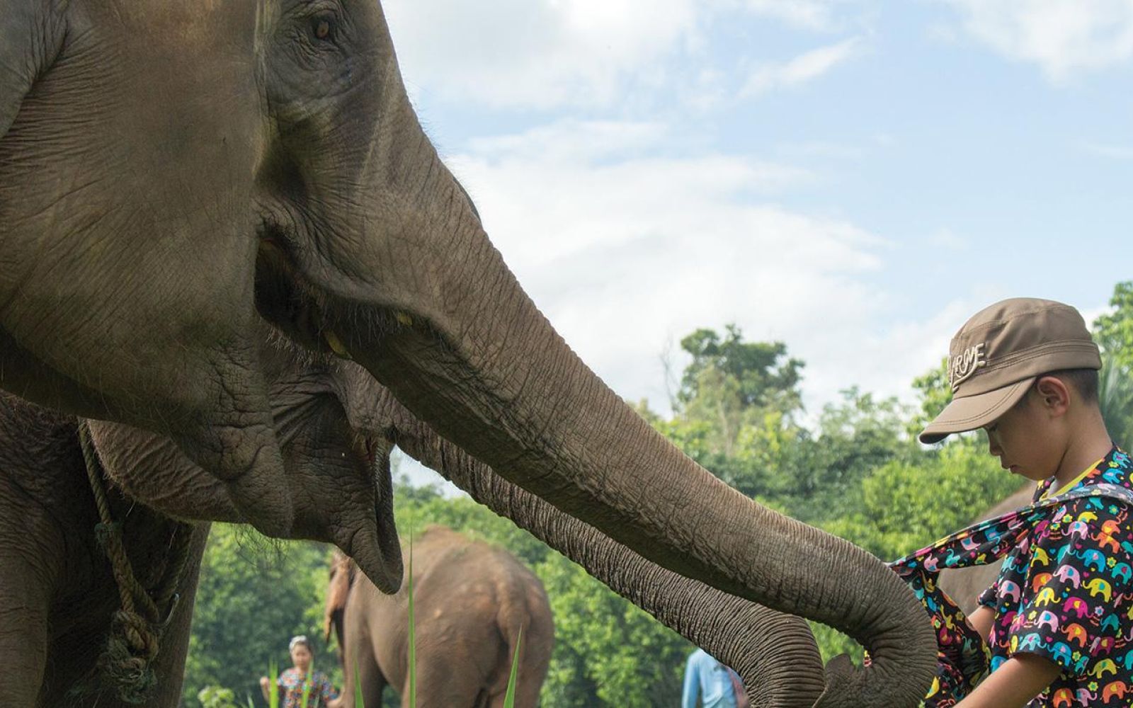 Thailandia e turismo sostenibile:  i Santuari degli elefanti