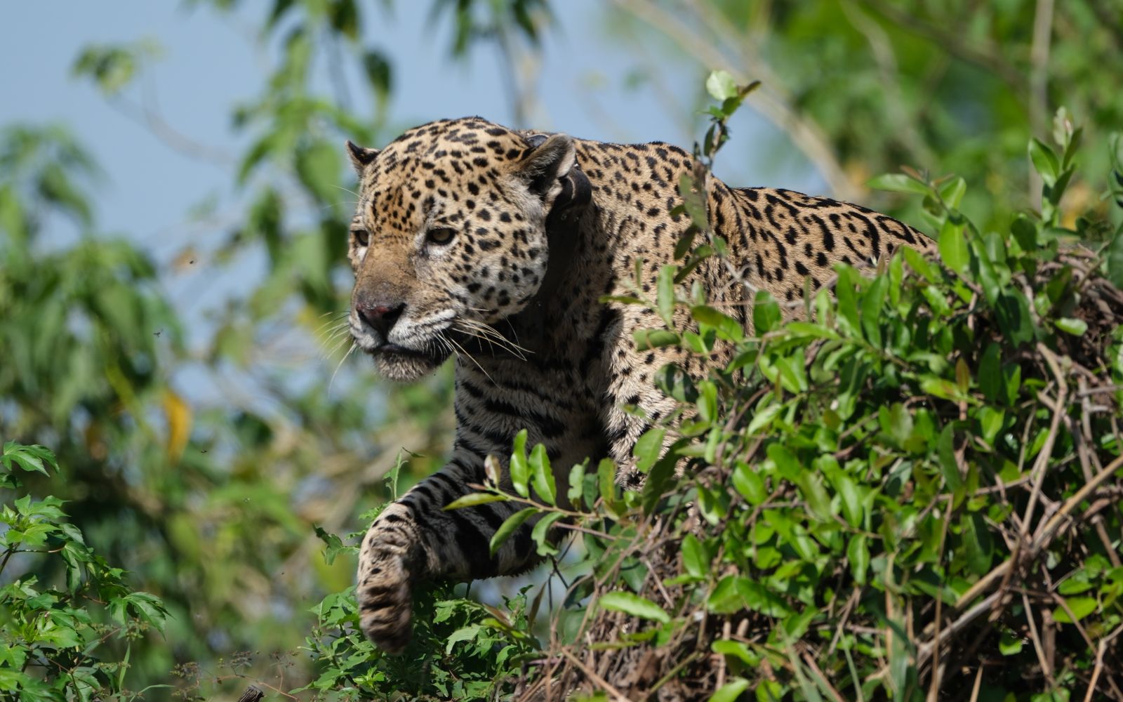 Viaggio di Gruppo in Brasile