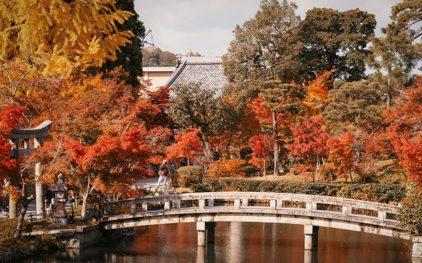 Giappone Foliage