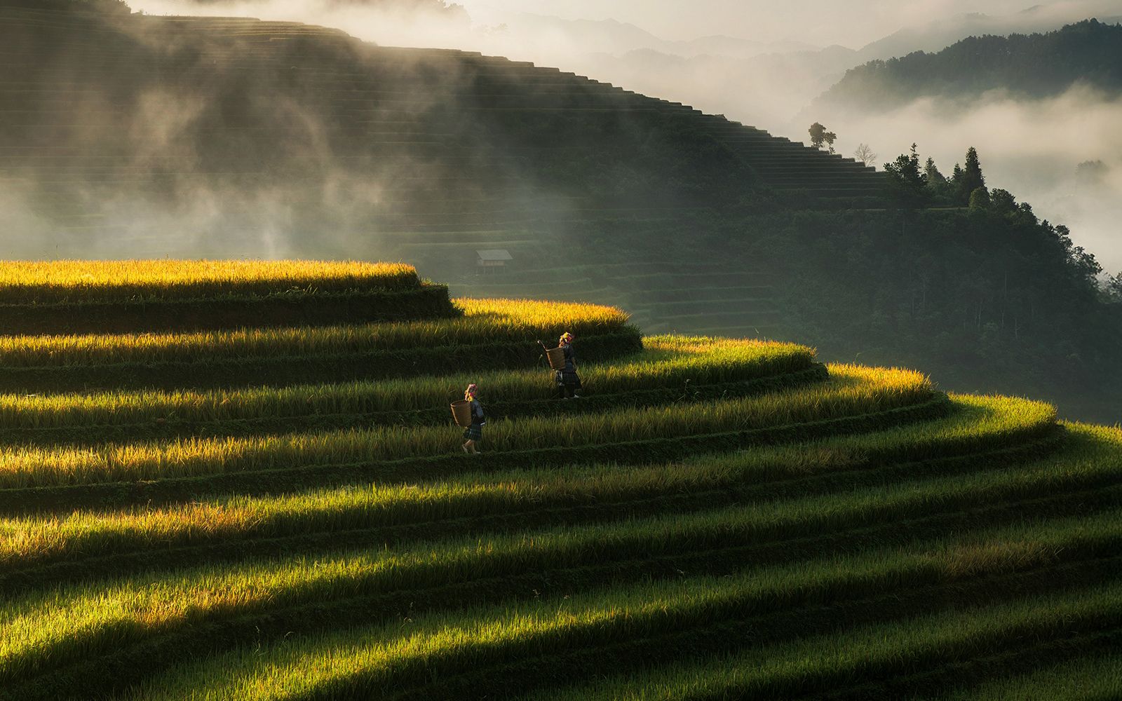 Viaggi di gruppo ad Aprile sivola