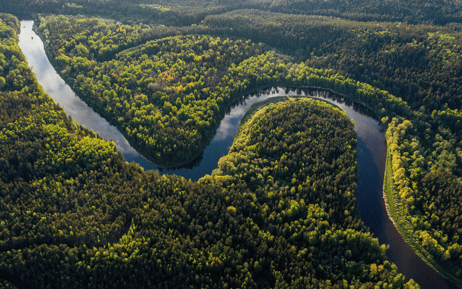 Avventura nella Foresta Amazzonica: guida completa