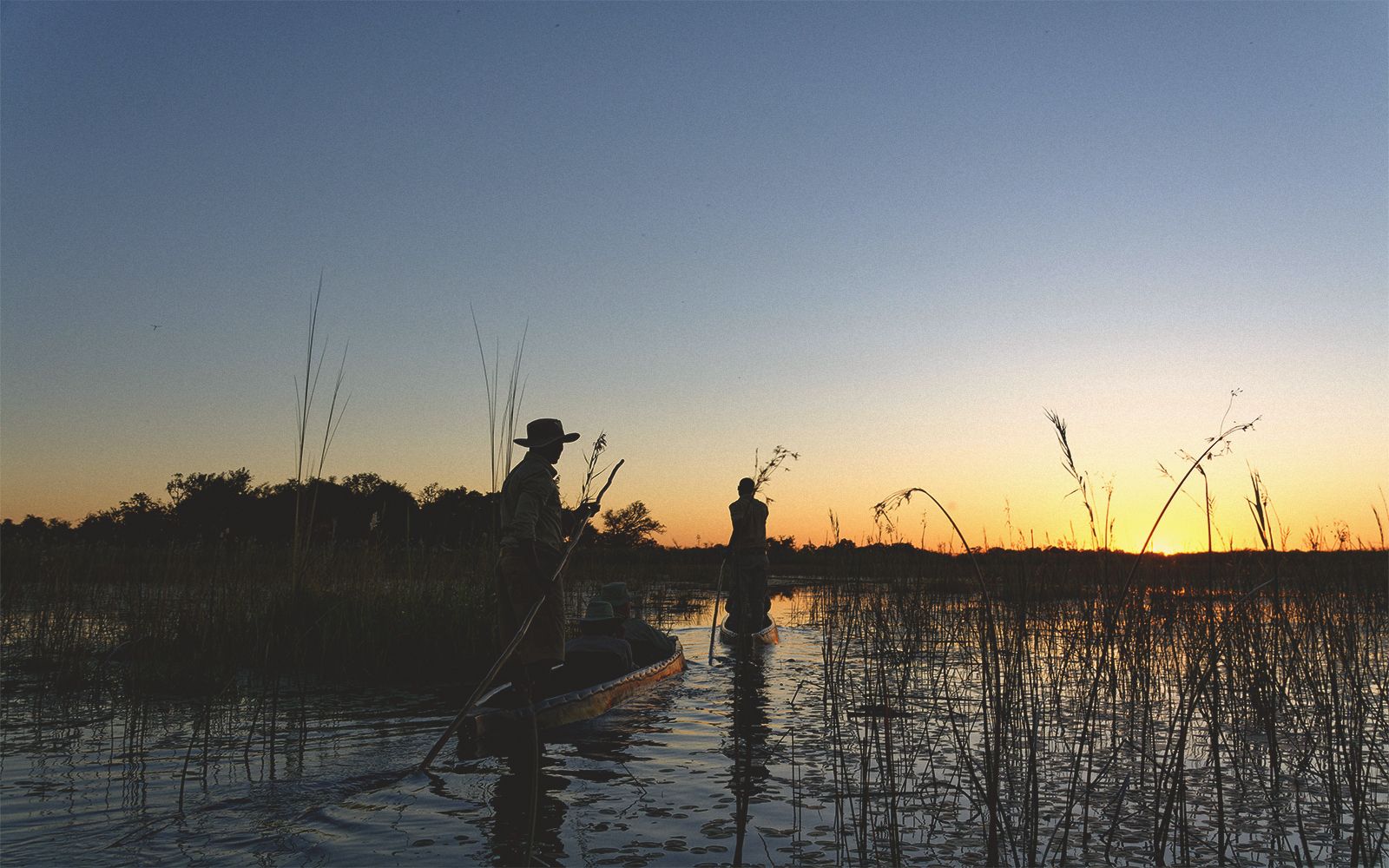6 esperienze straordinarie in Botswana tra safari e natura