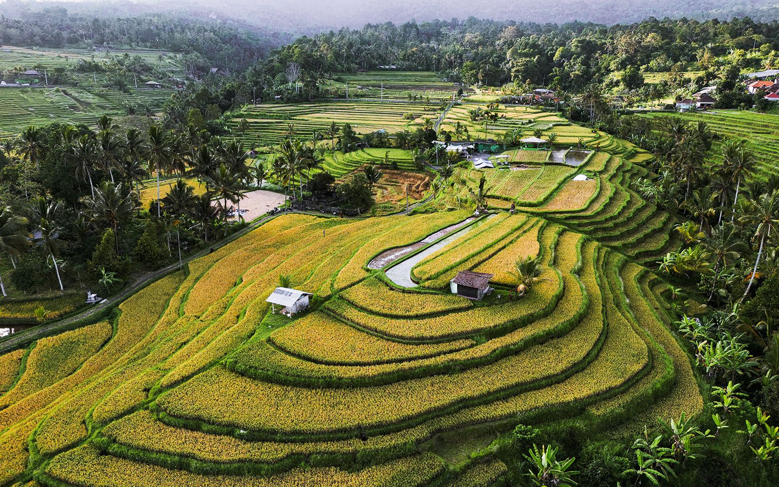 Sconti Estate 2026: viaggi e avventura nella natura wild