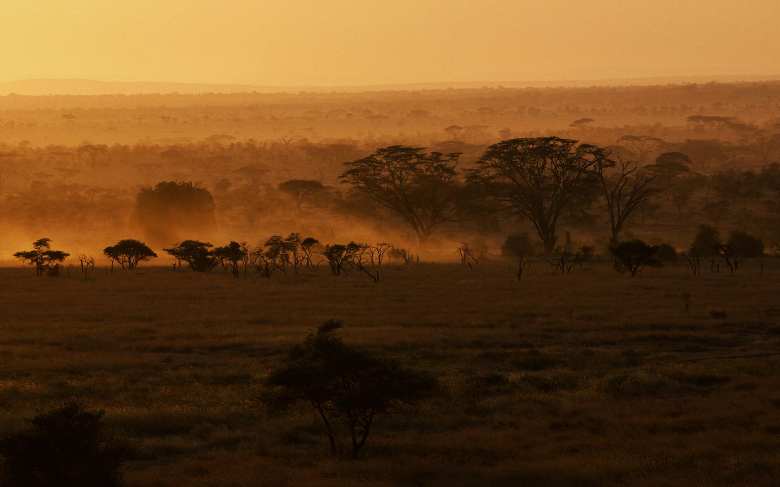 Viaggio di gruppo in Sudafrica