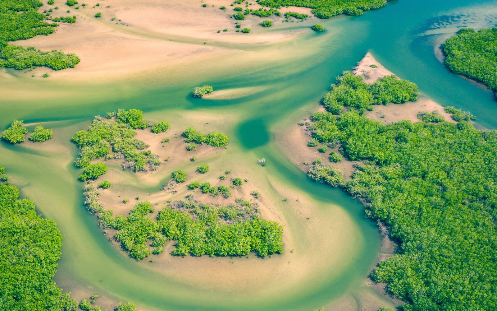 Viaggio di gruppo Senegal