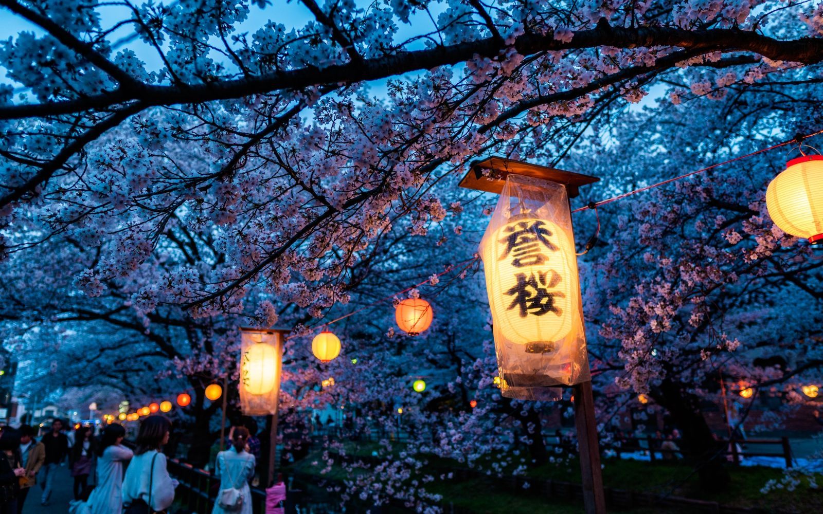 Viaggi di gruppo Hanami