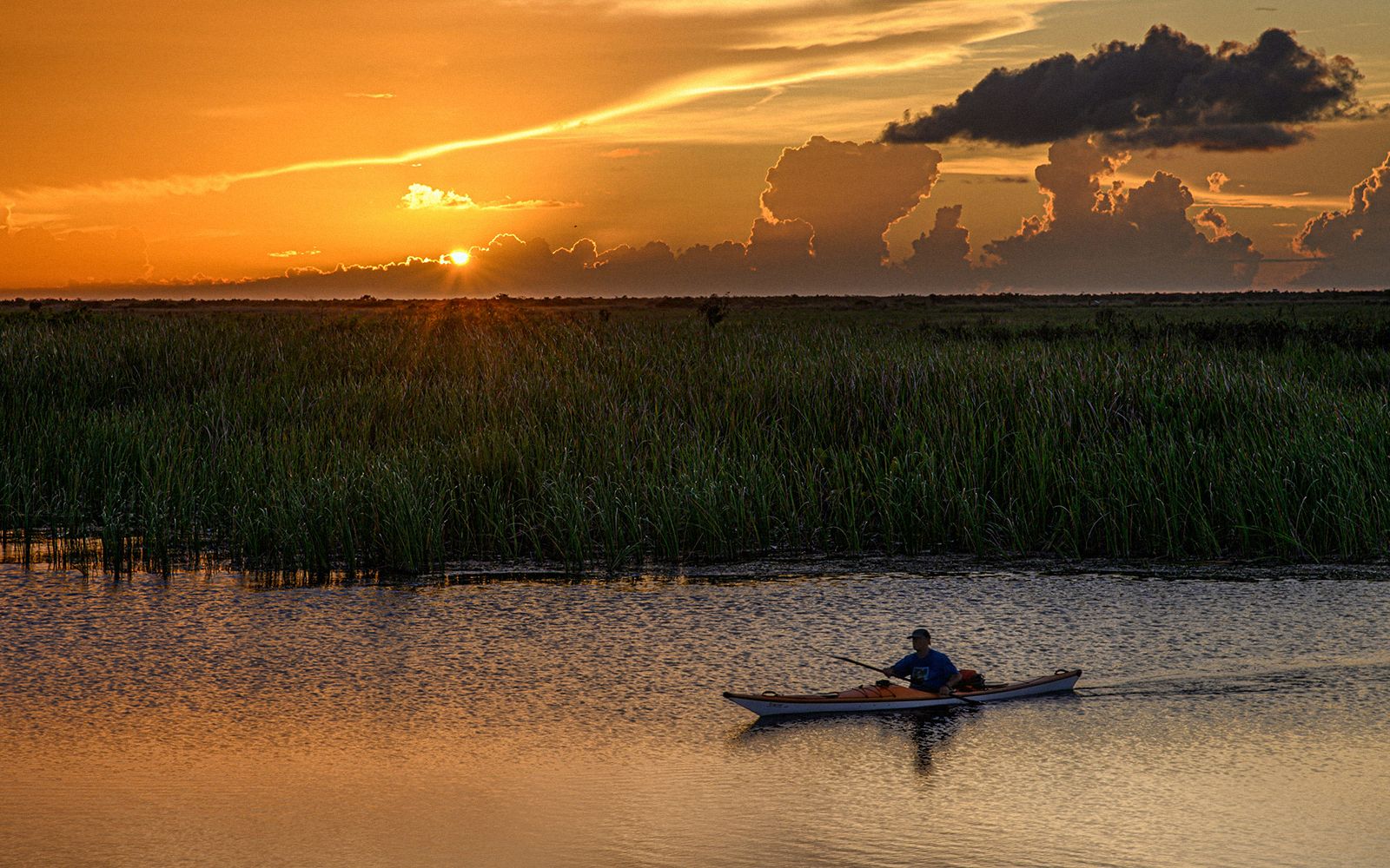 Visitare le Everglades per vedere gli alligatori in Florida