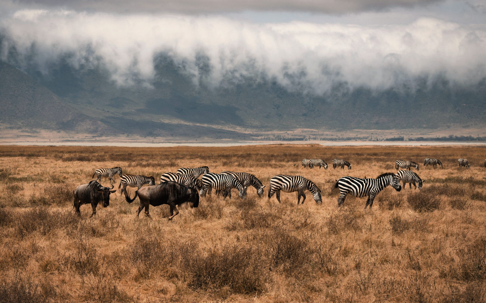 viaggio di gruppo tanzania e zanzibar