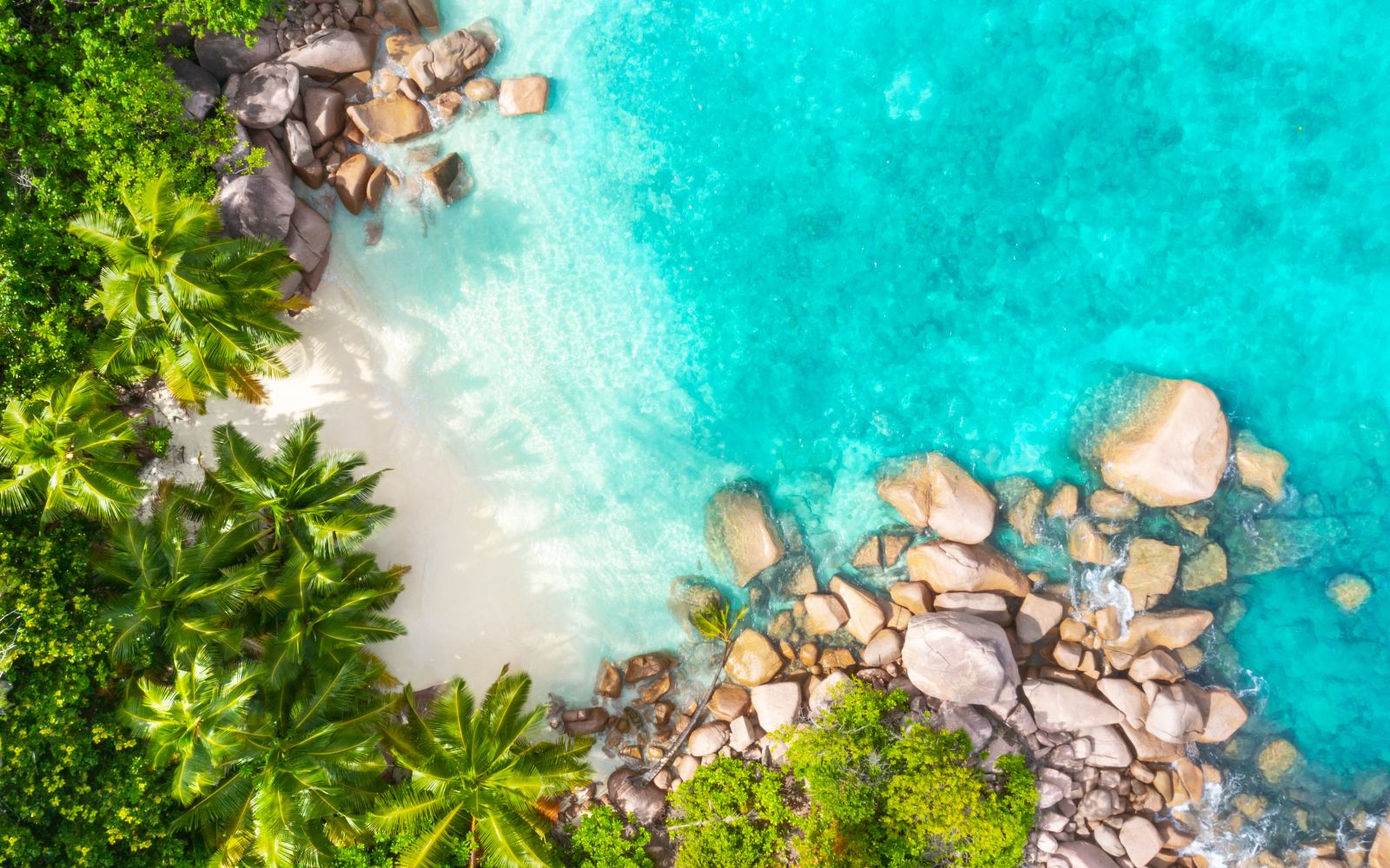 Viaggio alle Seychelles
