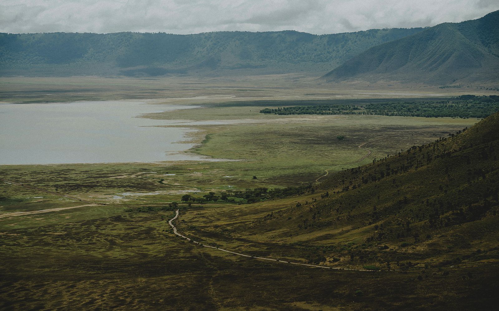 Safari in Tanzania: perché visitare il cratere di Ngorongoro