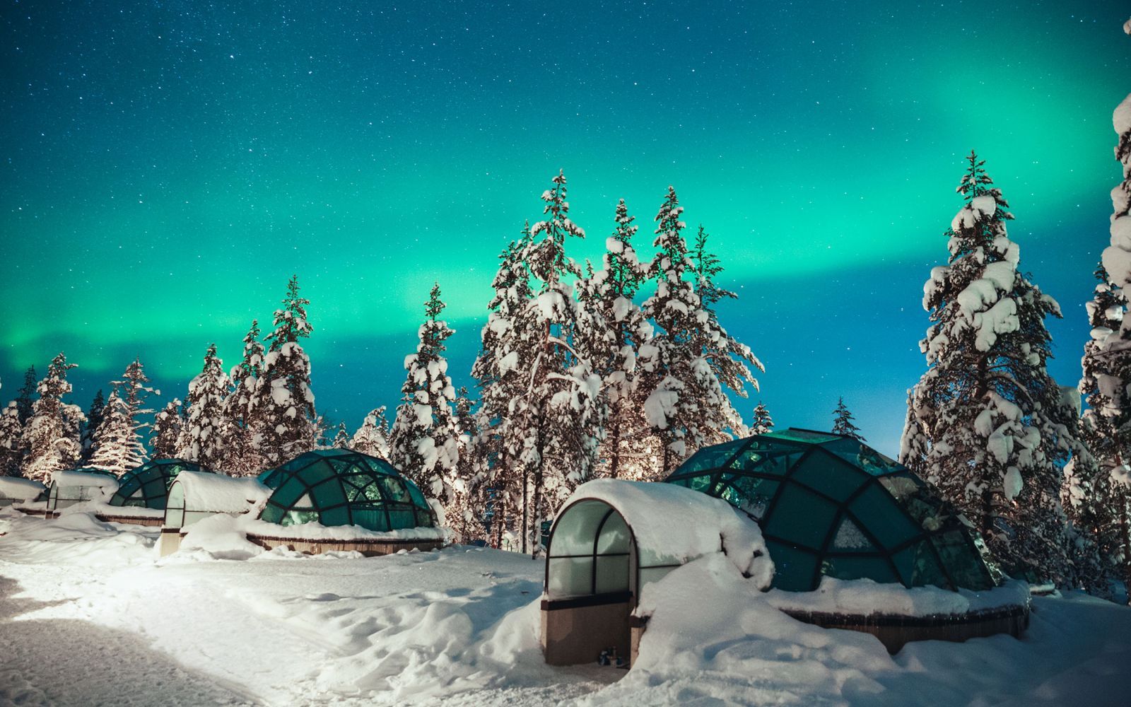 Viaggio di gruppo Lapponia natale