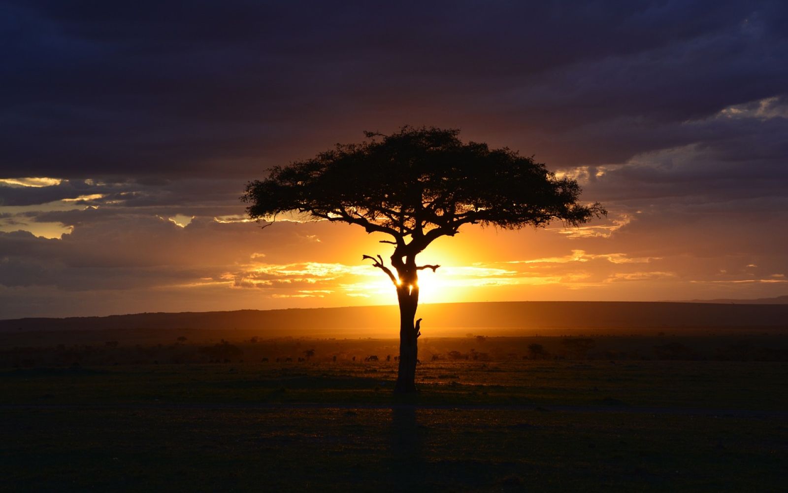Viaggio in Kenya: cosa vedere assolutamente in 7 giorni