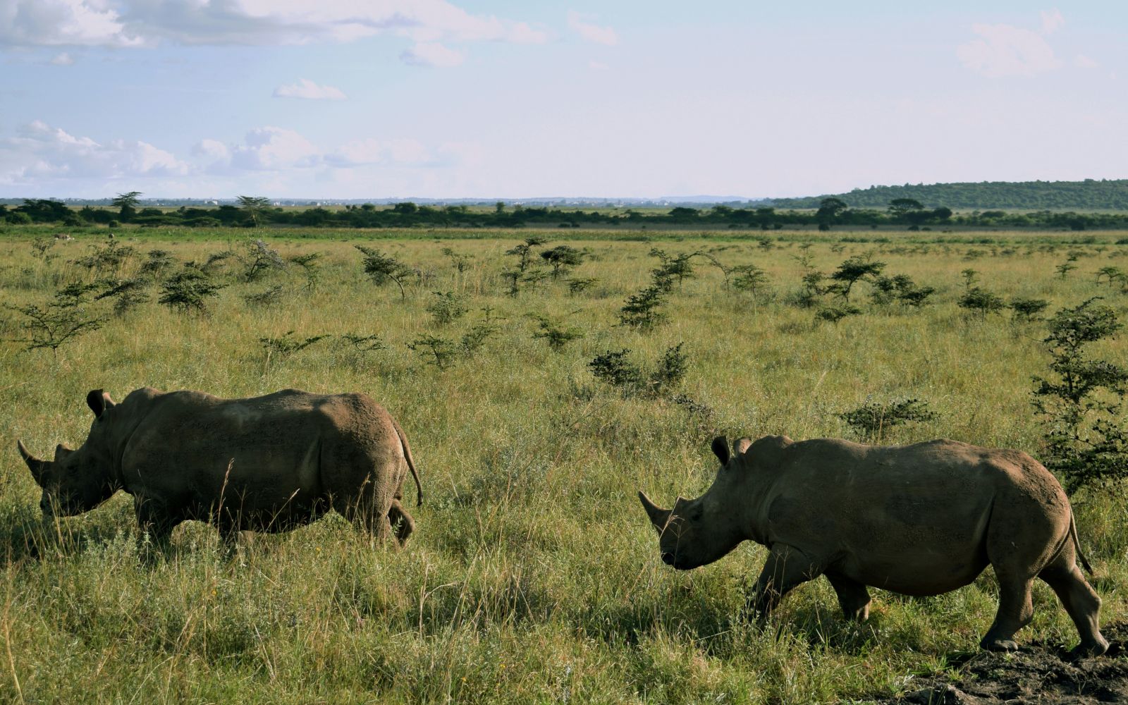 SiVola Together in Kenya
