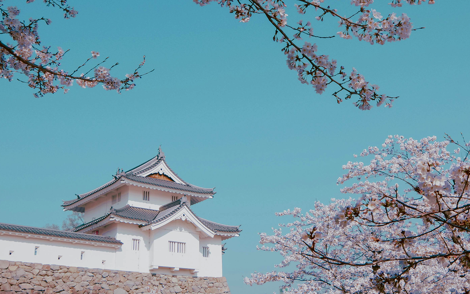 Viaggi di gruppo Hanami sivola