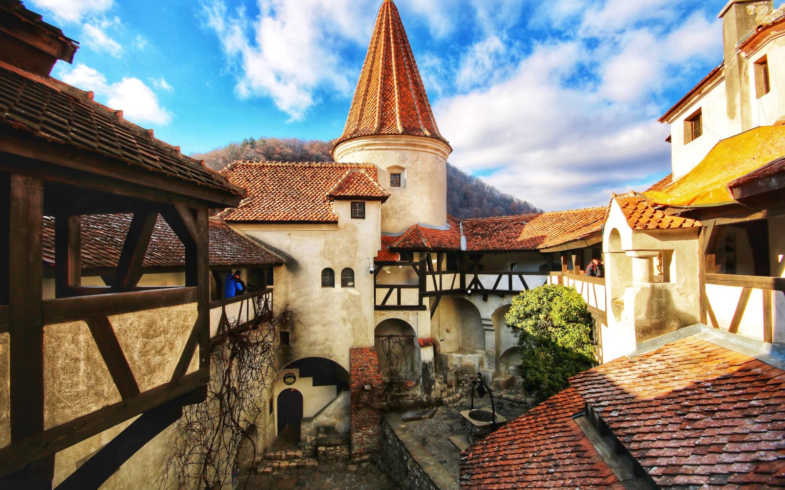 Viaggio in Transilvania: Tour nel Castello di Dracula