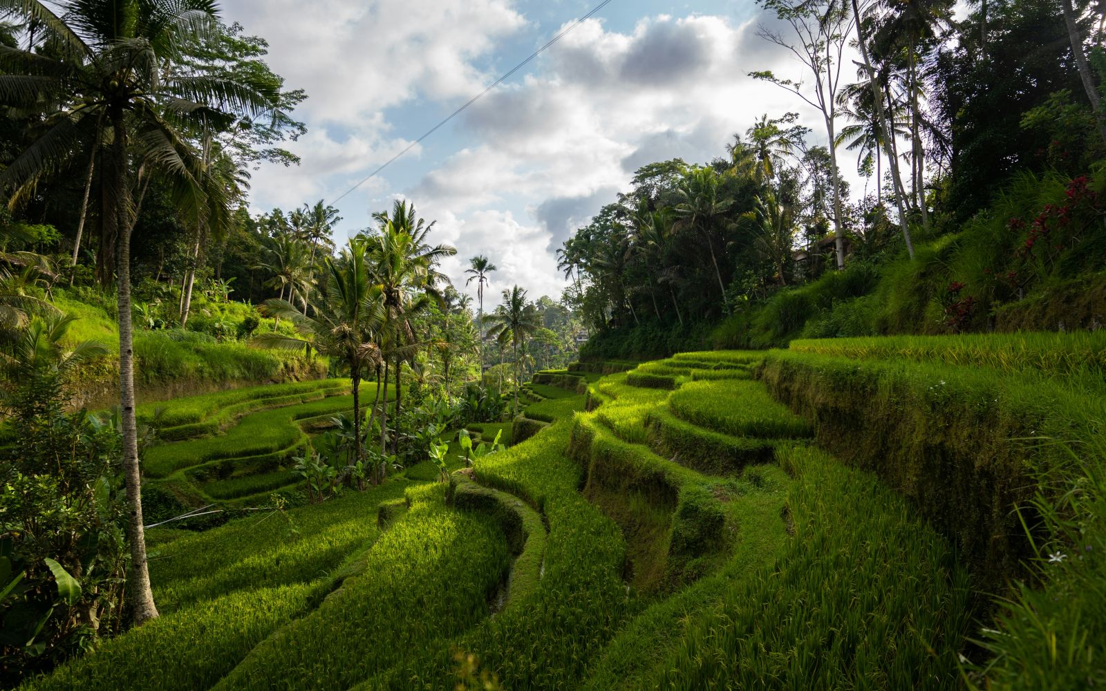 Indonesia: Bali e Gili