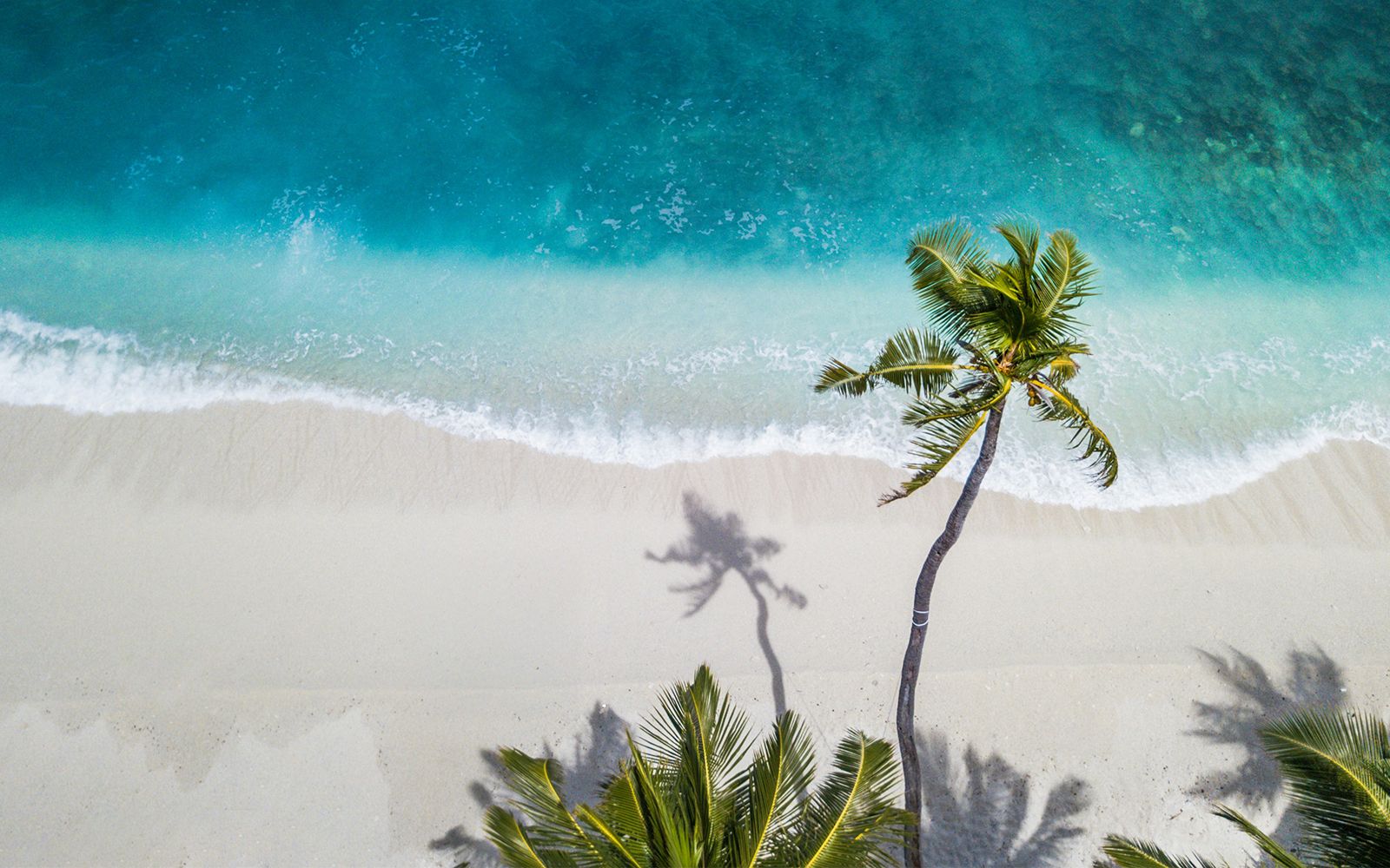 Maldive a gennaio: il periodo migliore per viaggiare al caldo