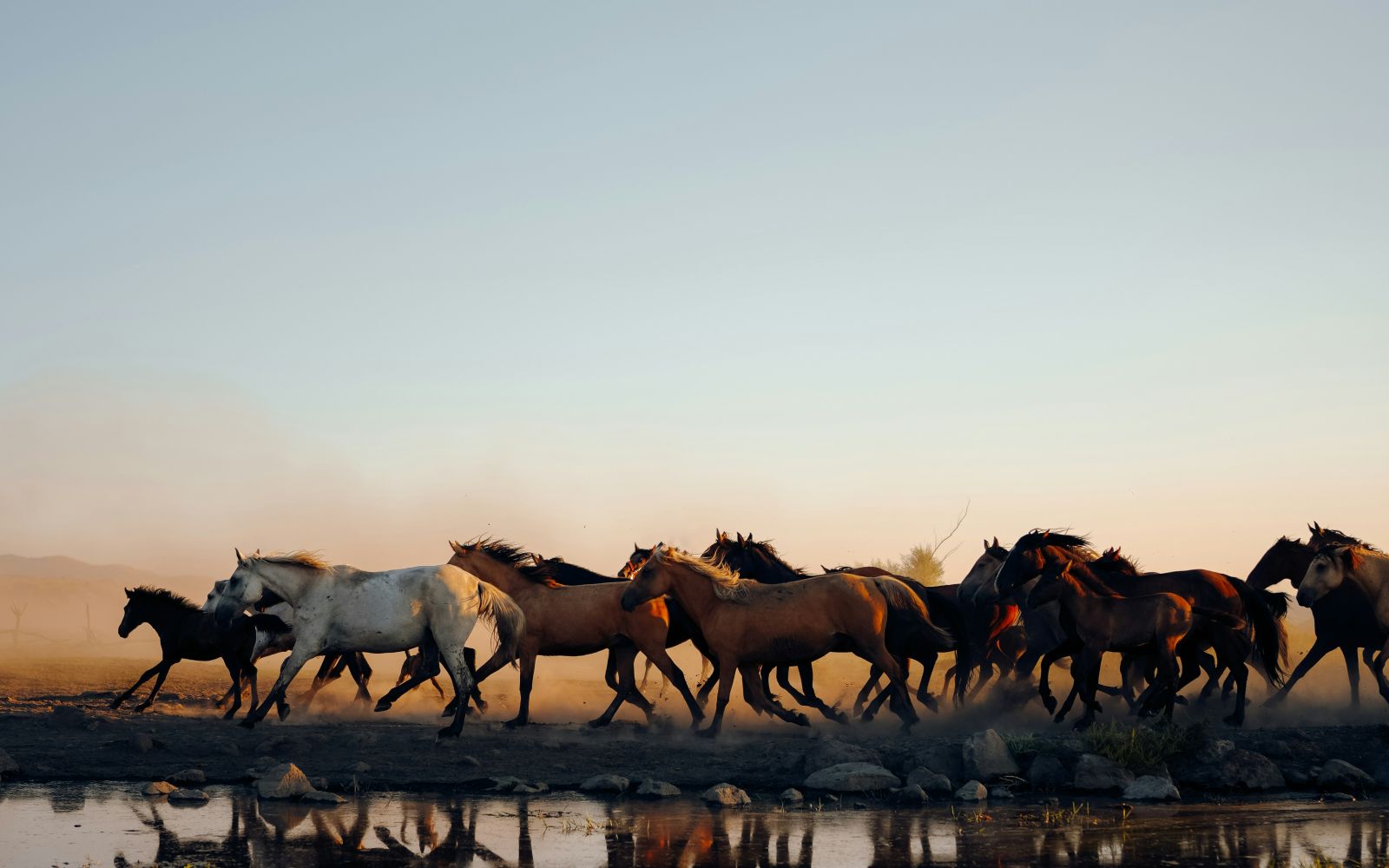Viaggio di gruppo in Mongolia