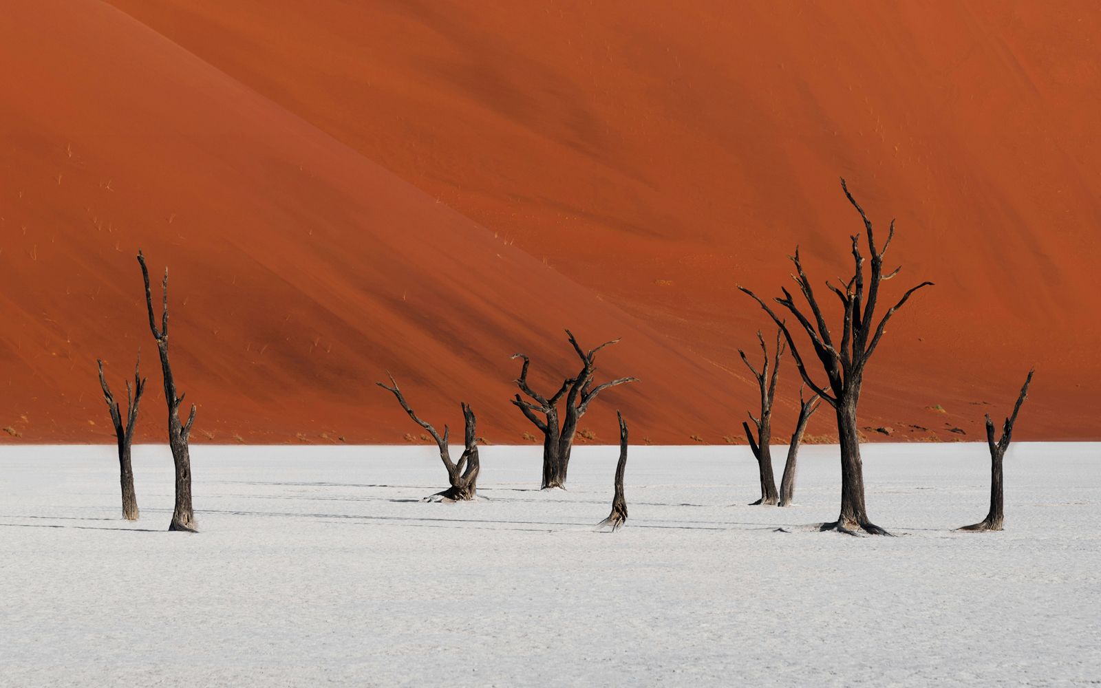 Namibia Safari