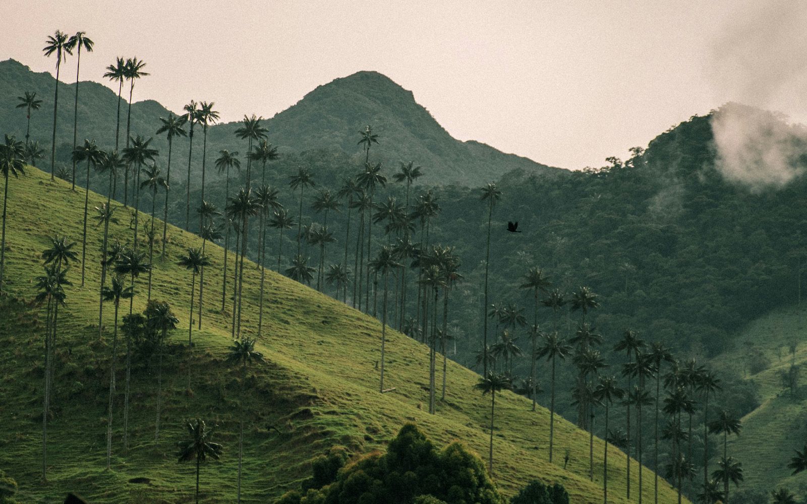 Viaggi di gruppo da non perdere
