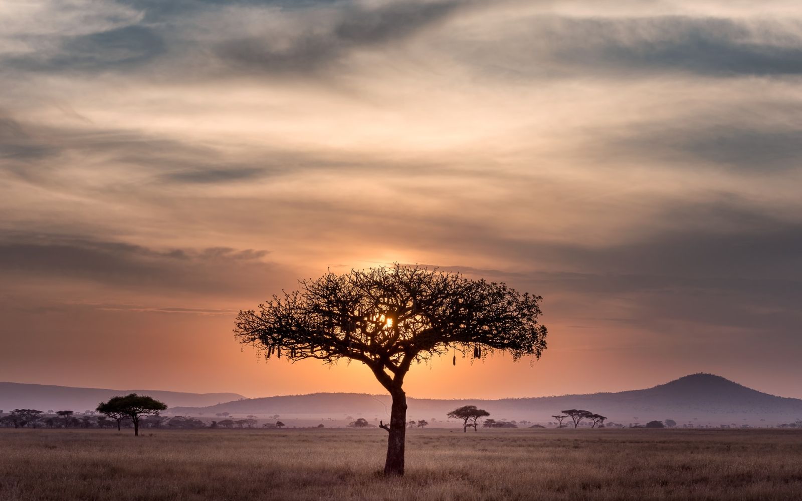 Serengeti, Tanzania