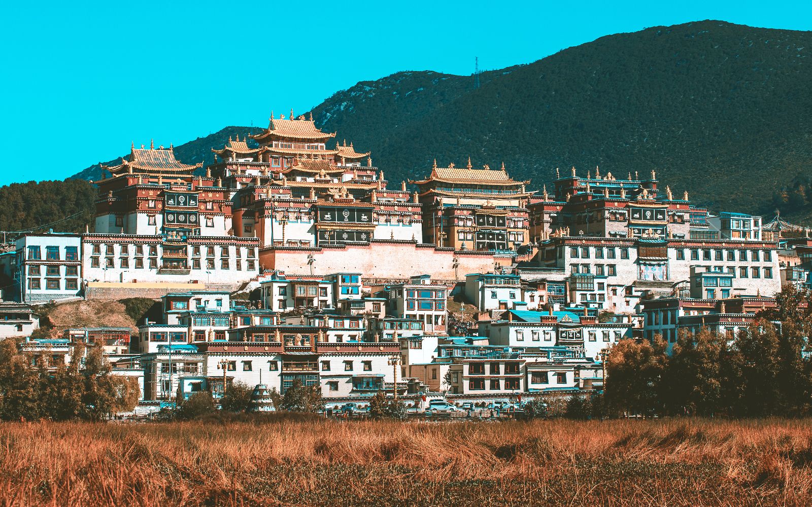 Viaggio di gruppo in Cina del Sud