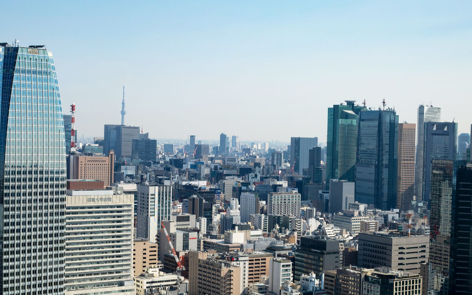 Viaggi di gruppo in Estate