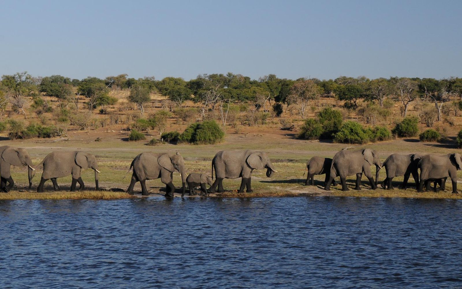 quando andare in botswana